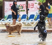 롯데워터파크, 반려견과 함께 '댕댕 워터파크' 로 놀러오세요