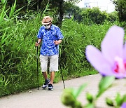 [포토 카페] 끈기 있는 발걸음