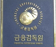 금감원, 롯데카드 직원들 100억원대 배임 적발