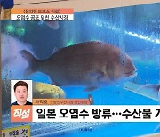 오염수 공포 덮친 수산시장, 정부 "우리 해역 안전"…상인들의 입장은?