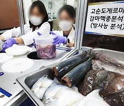 [단독] 방사능 검사 비용만 560억…"일본도 부담해야"