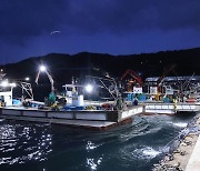 삼척시, 삼척항 수산물 방사능 검사 결과 매주 공개