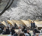 대학 모집인원 감축에 신입생·재학생 충원율 모두 상승