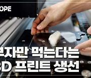 [이영완의 Scope] 실험실에서 만든 배양 생선, 미래 식량 자원 될까?