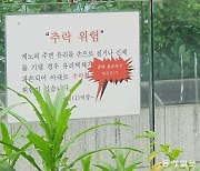 [고양이 눈]저흰 괜찮죠?