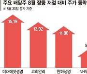 변동장에 뜨는 배당주… 찬바람 불기전 담아볼까