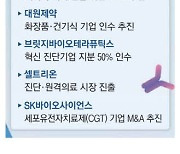 중견제약사 "새 먹거리 찾아라" M&A 봇물