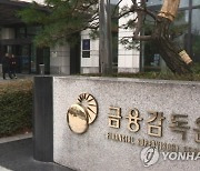 [단독] 금감원, 은행·증권 이어 운용사 자금세탁 검사