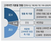 배터리동맹 넓힌 최윤범 회장 경영권도 강화