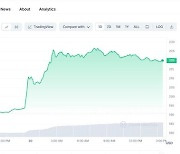 비트코인 ETF 호재에 '비트코인 3형제' 더 뛰어…20% 급등