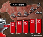 프랑스·아일랜드 쇠고기 수입, 국회 심의만 남았다