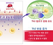 집먼지진드기가 일으키는 아토피, 새로운 치료법 찾았다