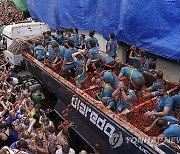 Spain Tomatina