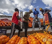 ZIMBABWE ECONOMY DAILY LIFE