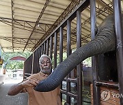 PAKISTAN AILING ELEPHANT