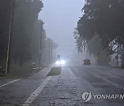 허리케인 이달리아 플로리다 서부 상륙…홍수·정전 피해 잇따라