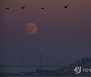 Supermoon California