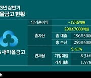 '부동산에 휘청' 새마을금고…관리 고삐 조인다