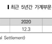 "연소득서 DSR 부담 비중 5년간 지속 상승"