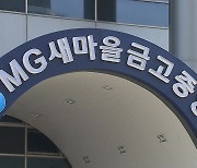 새마을금고 연체율 오르고 실적 악화..."하반기 회복 신호"