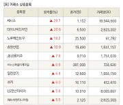 [fnRASSI]장마감, 거래소 상승 종목(체시스 29.7% ↑)