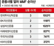 한달 반 만에 5500억원… 기업들 "외화예금보다 달러MMF"