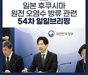 후쿠시마 원전 오염수 방류 관련 일일 브리핑(8.30.)