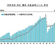 내국인 해외서 46.5억달러, 외인은 한국서 24.9억달러 긁었다