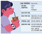 [레이더M] '반·배·엔'에 오일머니 수십조 풀린다