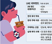 “돈 쓸곳 어디없나” 궁리만...중동 큰손, 한국 3형제 투자한다는데