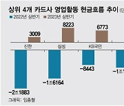 카드사, 업황 최악인데 '현금흐름' 3년 만에 플러스 전환…이유는?