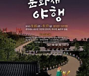 "피반령 도깨비와 여행"…내달 15∼17일 회인 문화재야행