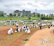 충남도 대백제전 점검TF 가동…교통·안전 등 매일 점검