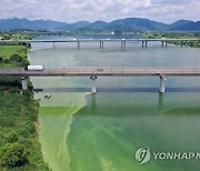 낙동강 물금·매리 지점 조류경보 '관심' 단계 발령