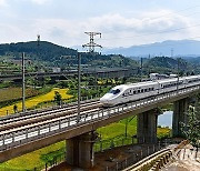 Xinhua Headlines: High-speed rail network extends to south China's Karst regions