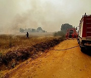 GREECE WILDFIRES