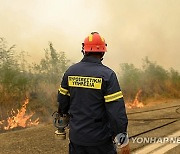 GREECE WILDFIRES