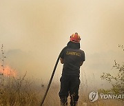 GREECE WILDFIRES