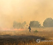 GREECE WILDFIRES