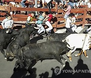 SPAIN BULLFIGHTING