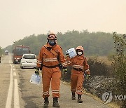 Greece Wildfires