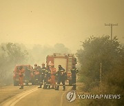 Greece Wildfires