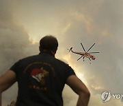 Greece Wildfires