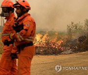 GREECE WILDFIRES