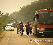 GREECE WILDFIRES