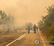 GREECE WILDFIRES