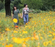 [오늘의 날씨] 전북(1일, 금)…흐리다가 오후부터 맑아져