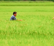 [오늘의 날씨]대구·경북(1일,금)…내일까지 최대 200㎜, 낮 최고 31도