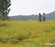 남부·제주 최대 200㎜ 비…출근길 중부 짙은 안개 유의(종합)[오늘날씨]