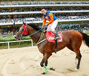 [경마]코리아컵&코리아스프린트 개최국의 자존심을 지켜라, 역대급 해외 경주마에 대항하는 한국의 주요 경주마 소개